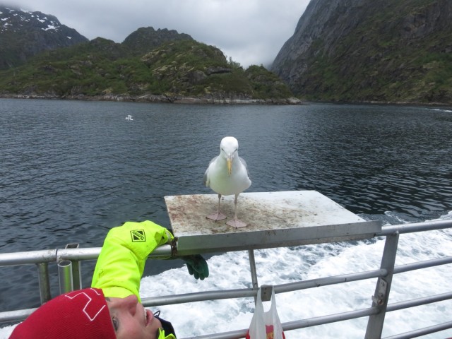 Hurtigruten_2015-06-25_16-59-2